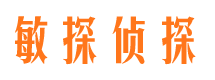 大丰市私家侦探